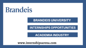 Brandeis University Internship