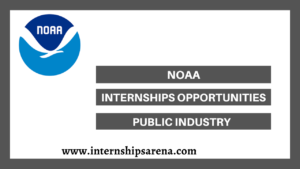 Lapenta Internship