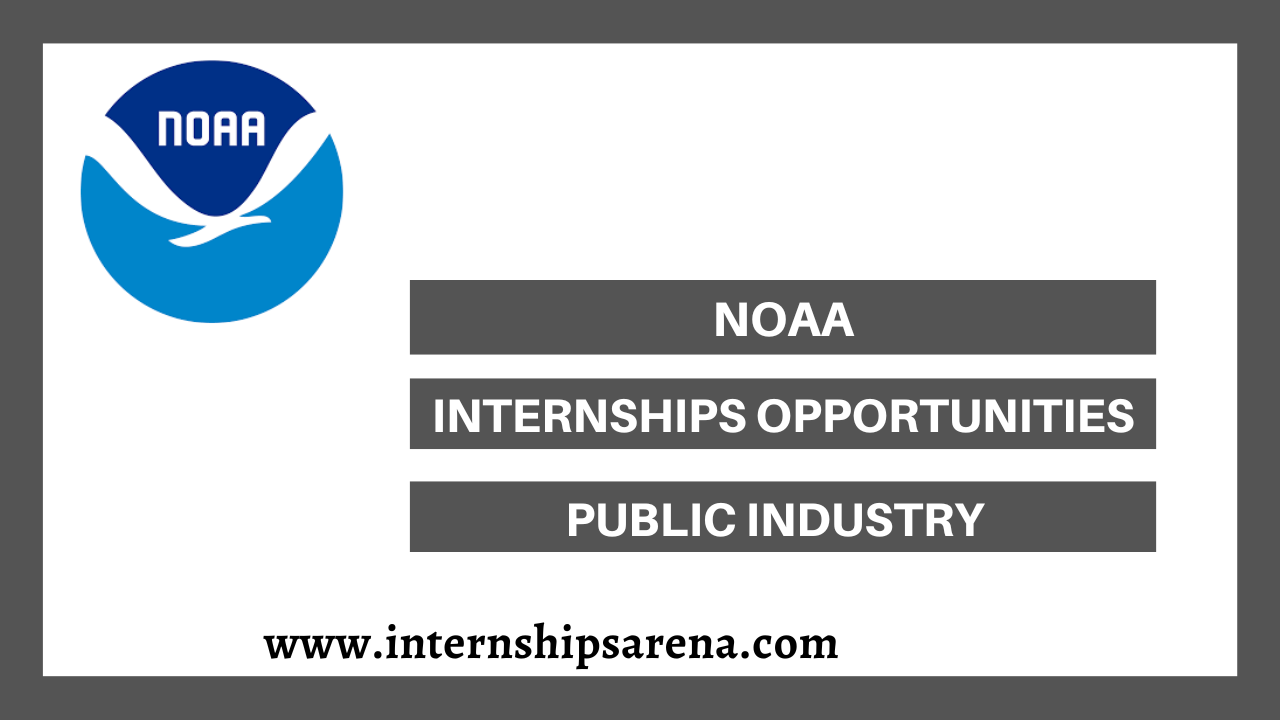 Lapenta Internship