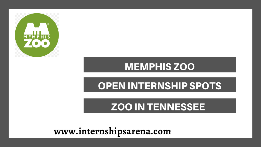 Memphis Zoo Internship
