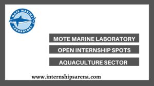 Mote Marine Internships