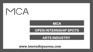 Museum of Contemporary Art Chicago Internships