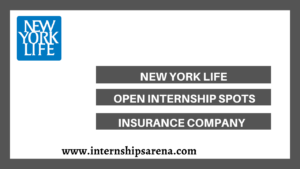 New York Life Insurance Company Internship