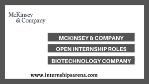 Mckinsey Internship