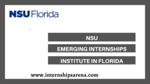 NSU Internship
