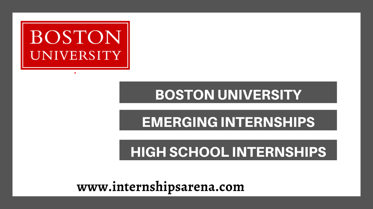 Rise Internship