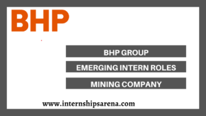 BHP Internship