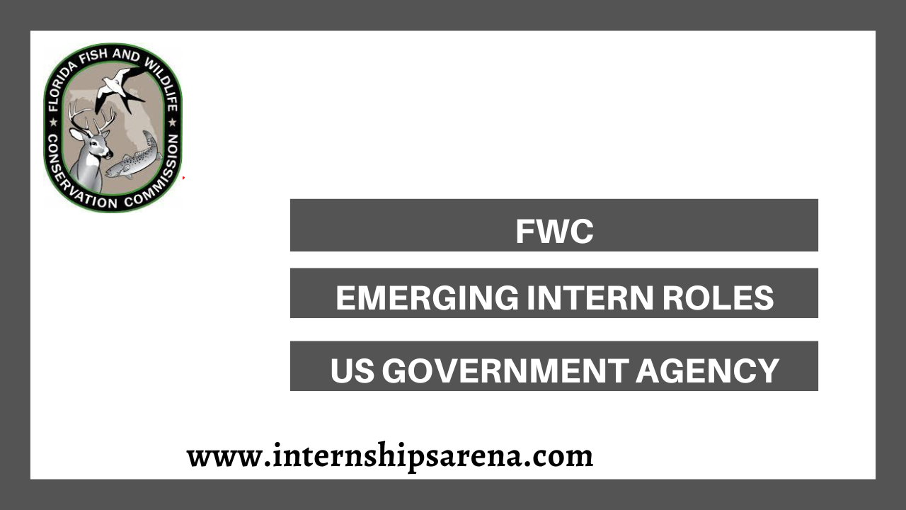 FWC Internships