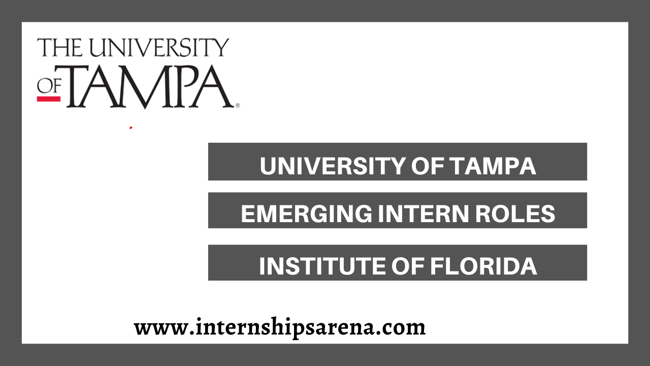 University Of Tampa Internships
