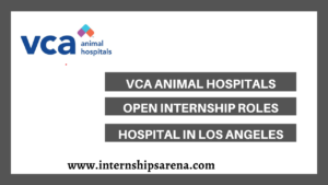 VCA Internships