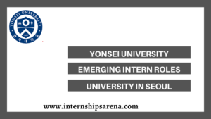 Yonsei University Internships