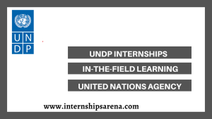 UNDP Internships