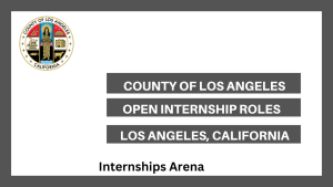 County Of Los Angeles Internship