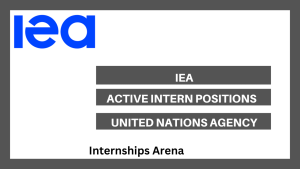 IEA Internship