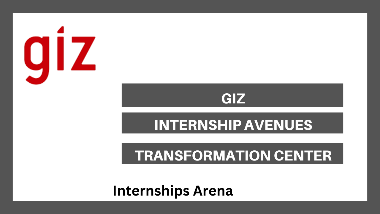 GIZ Internships